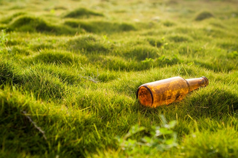 Environmental Stress