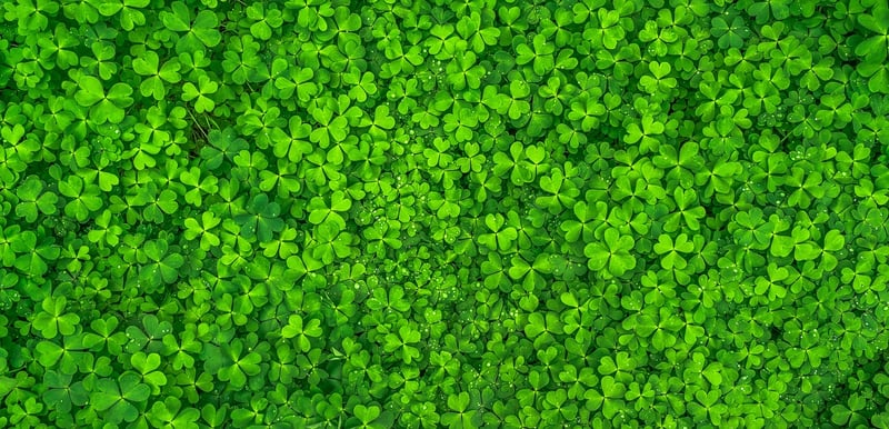Luck Enhancement
